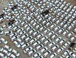 Власти рассказали, сколько человек пользуются каршерингом в Москве