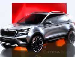 Появились новые изображения серийного Skoda Kushaq