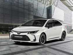Российские Toyota Corolla и C-HR получили версию GR Sport