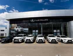 В России продолжают расти средние цены на автомобили