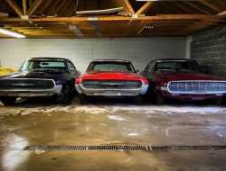 Знаменитые маслкары Ford Thunderbird, 30 лет простоявшие в гараже, продают за 185 000 рублей каждый