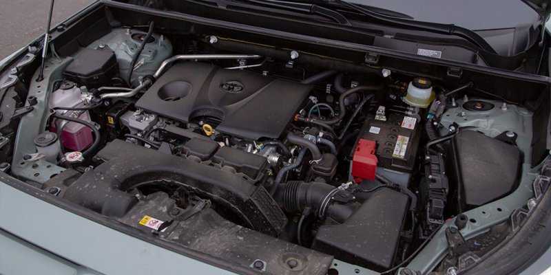 
            Базовые ценности. Тест-драйв Toyota RAV4 и Kia Sportage
        