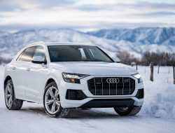 Audi начала сдавать в аренду всем желающим свои автомобили в России