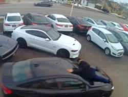 Сотрудника автосалона протащили на капоте BMW во время угона. Видео