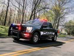 Ford сделал полицейский пикап F-150 мощнее и быстрее