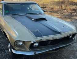 Посмотрите на Ford Mustang Mach 1, который провёл в гараже 40 лет. У него всё работает