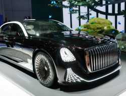Китайский конкурент Aurus выпустил лимузин с люстрой и без руля. Фото