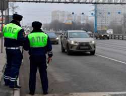 ГИБДД попросила граждан сообщать о пьяных водителях