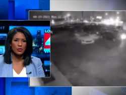 Массовый угон очень дорогих машин из автосалона попал на видео