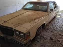 Cadillac Coupe DeVille 1983 года, который провел взаперти 20 лет, продают за бесценок