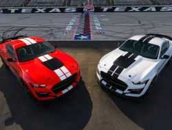 Ford украсил Mustang Shelby GT500 деталями из углеволокна