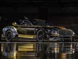 Купе Bentley Continental GT3 перевели на биотопливо