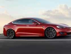 Tesla врезалась в дерево и загорелась. За рулем никого не было