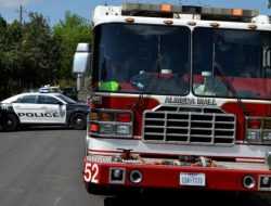 В росте уровня смертности на дорогах обвинили видеоконференции