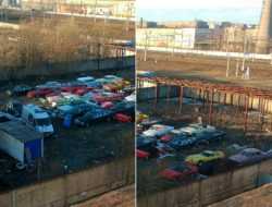 Заброшенную стоянку с раритетными машинам нашли в Петербурге