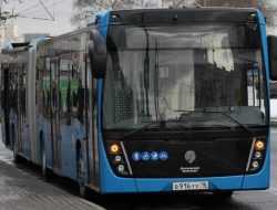 Еще в одном российском городе автобусы заменят электробусами