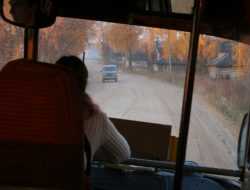 В ГИБДД разъяснили правила перевозки детей