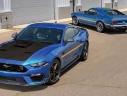 Ford хотел организовать клуб владельцев Mustang в Антарктиде