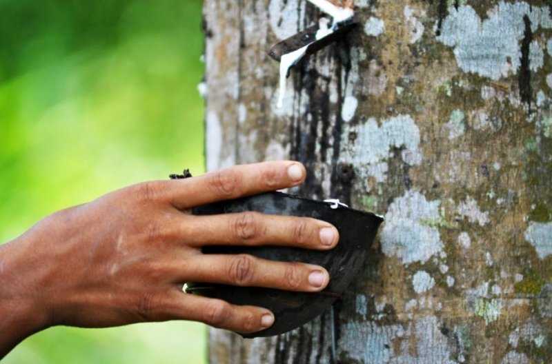 Гибридный BMW X5 оснастят экологичными шинами