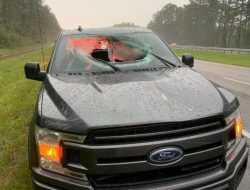 Посмотрите, что произошло с Ford F-150, перед которым ударила молния
