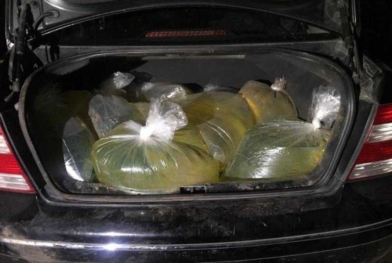 Правительство США призвало американцев не набирать бензин в пакеты