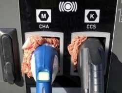 Противники электромобилей в Германии начинили зарядные разъемы фаршем