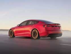 Tesla раскрыла сроки запуска производства «быстрейшего серийного автомобиля»