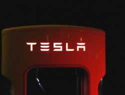 Tesla решила не расширять завод в Шанхае по политическим причинам