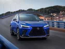 Новый Lexus NX 2021: сенсоры на руле, мотор 280 сил и другие детали