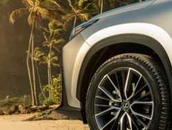 Lexus NX второго поколения: новое фото