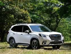 Когда Subaru привезет новый Forester в Россию