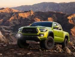 Toyota адаптировала к бездорожью рамный пикап Tacoma