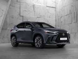 Все, что вы хотели знать о Lexus NX нового поколения