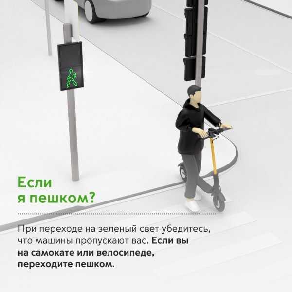 
            На дорогах появились новые светофоры. Как по ним ездить?
        