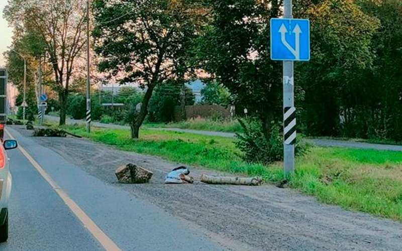
            В Подмосковье нашли новый способ для борьбы с обочечниками
        