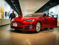 Неожиданная проблема с Tesla: электропроводку машин пожирают крысы