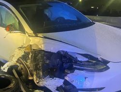 Tesla на автопилоте протаранила полицейскую машину. Фото