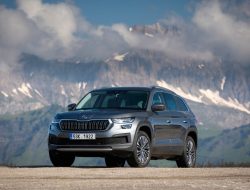 Skoda назвала российские цены на обновленный Kodiaq
