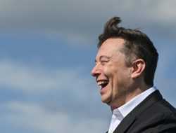 WSJ: глава Tesla хотел возглавить Apple