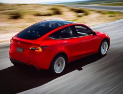 Первые Tesla Model Y китайской сборки привезли в Европу
