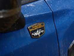 Subaru готовит вторую модель внедорожной линейки Wilderness: первое изображение