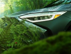 Subaru раскрыла дизайн электрического кроссовера Solterra