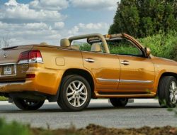 Видео: Lexus LX превратили в кабриолет для соколиной охоты