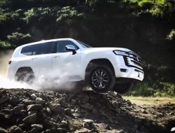 Видео: Toyota Land Cruiser 300 испытали на серьезном бездорожье