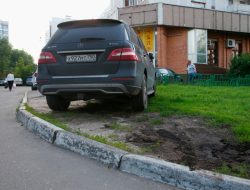 Власти рассказали, сколько водителей оштрафовали за парковку на газонах