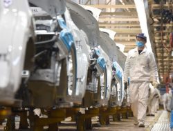 Honda занялась изучением мозга, чтобы строить более безопасные машины