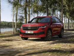 Раскрыта стоимость самых дорогих версий обновленного Skoda Kodiaq в России