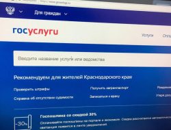 Российским водителям разрешили обжаловать штрафы онлайн