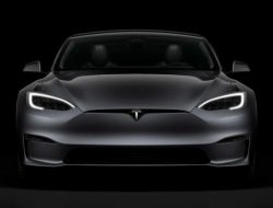Tesla может выпустить бюджетную модель без руля и педалей