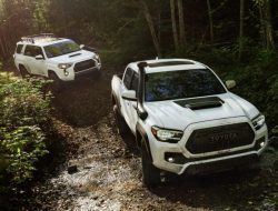 Toyota унифицирует все рамные внедорожники и пикапы